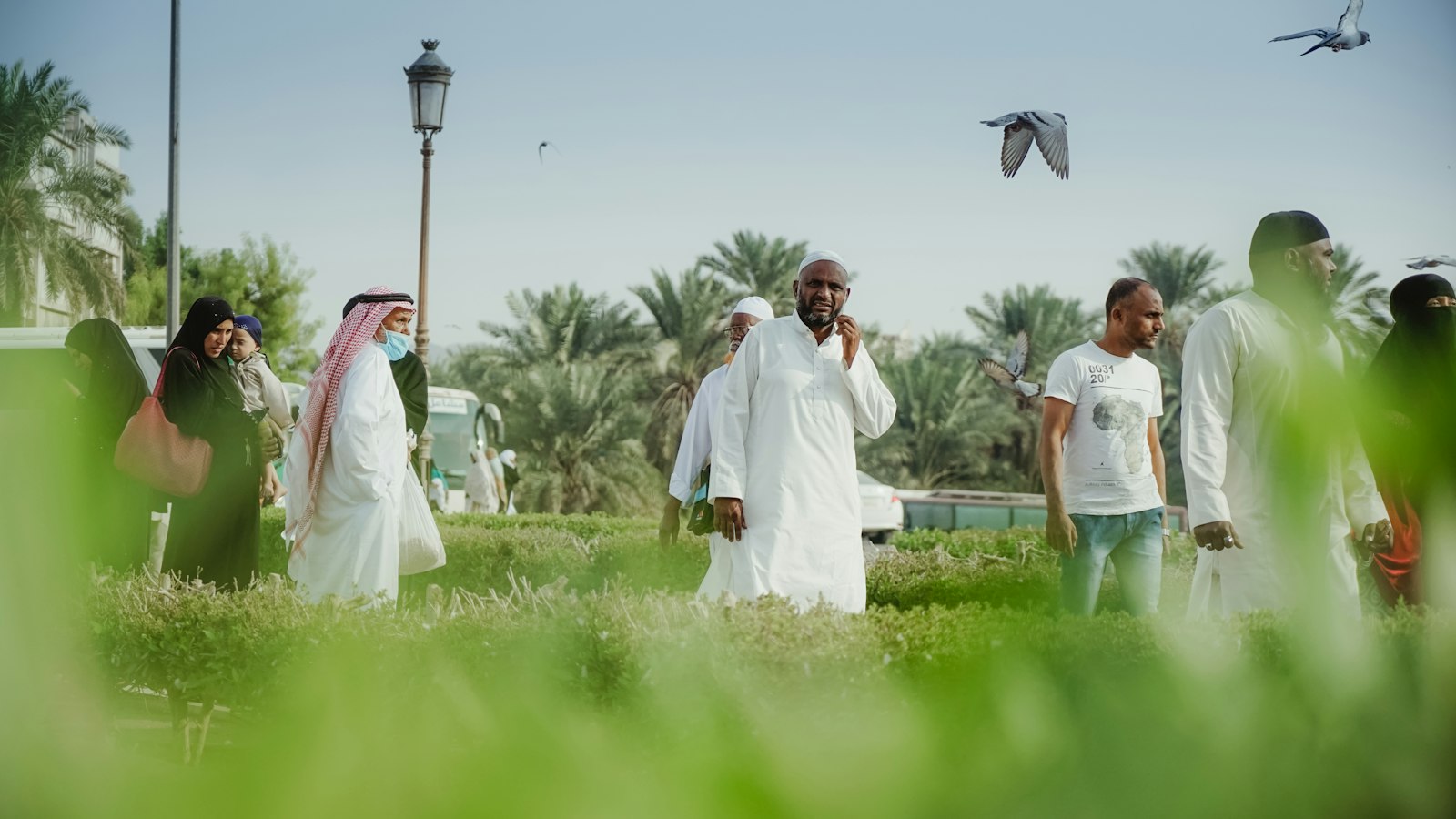 مزارع ورد الطائف عند الفجر